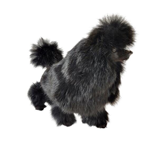 Copied - Plush other brand - Picture 11 of 14